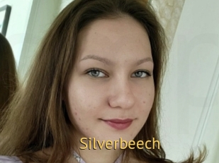 Silverbeech