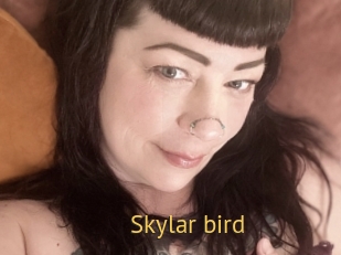 Skylar_bird