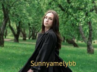 Sunnyamelybb