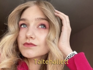 Taitehallett