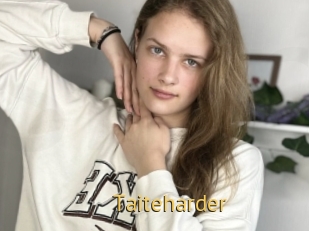 Taiteharder