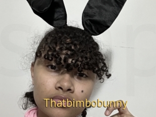 Thatbimbobunny