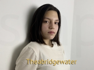 Theabridgewater