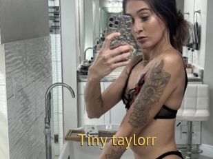 Tiny_taylorr