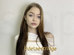 Udelaestridge