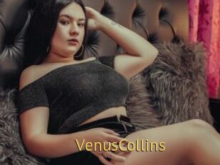 VenusCollins