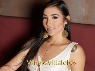 Vanesavillalobos