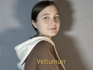 Vellumurr