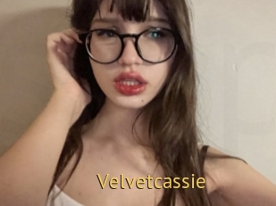 Velvetcassie