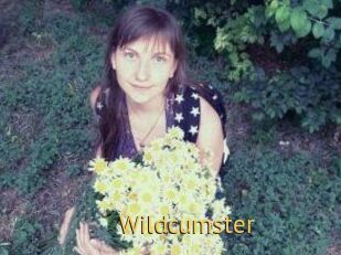 Wildcumster