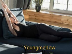 Youngmellow