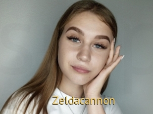 Zeldacannon